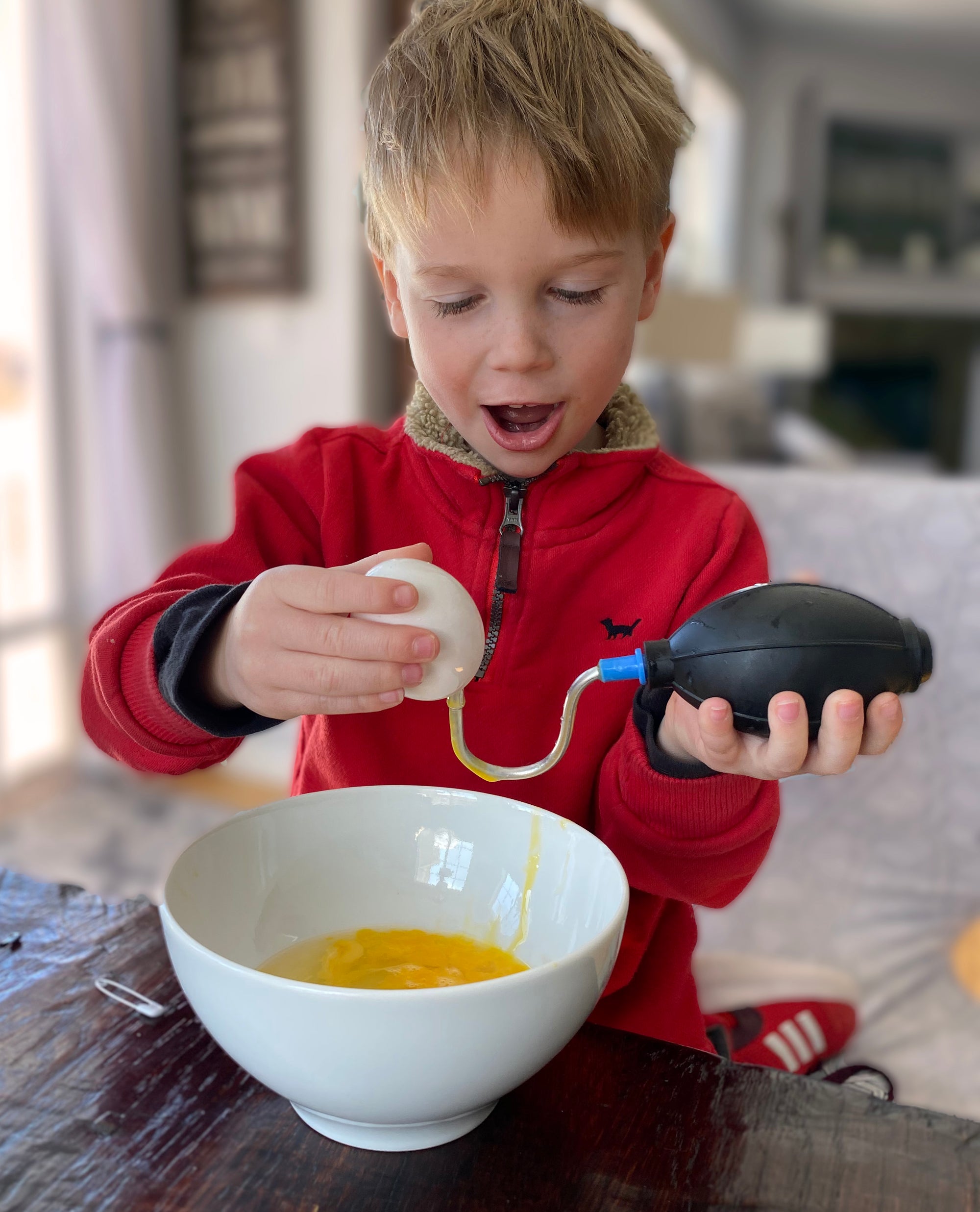 Egg Blowing Pump