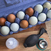 Egg Blowing System for Easter Crafts